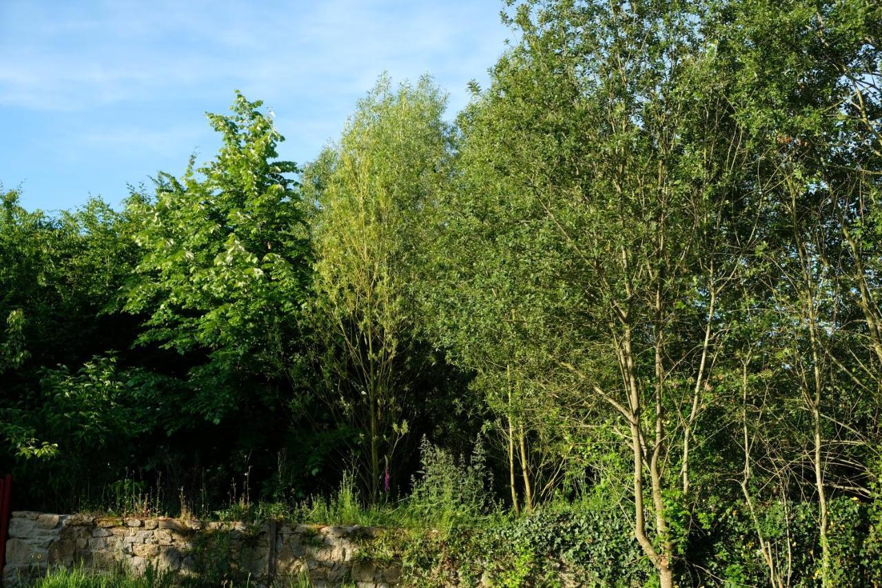 La Maison Jaune A La Janaie Parigne Bagian luar foto