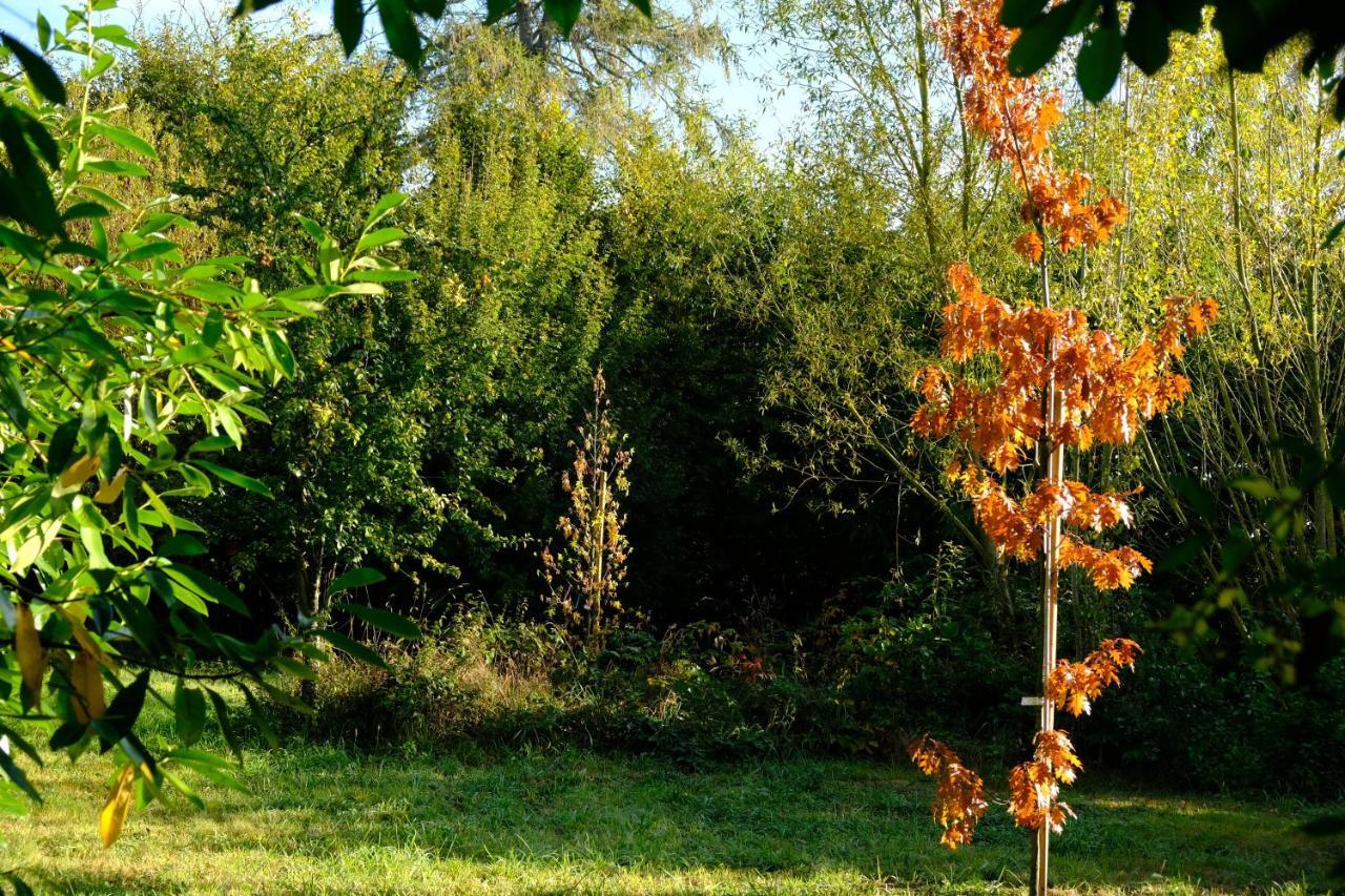 La Maison Jaune A La Janaie Parigne Bagian luar foto
